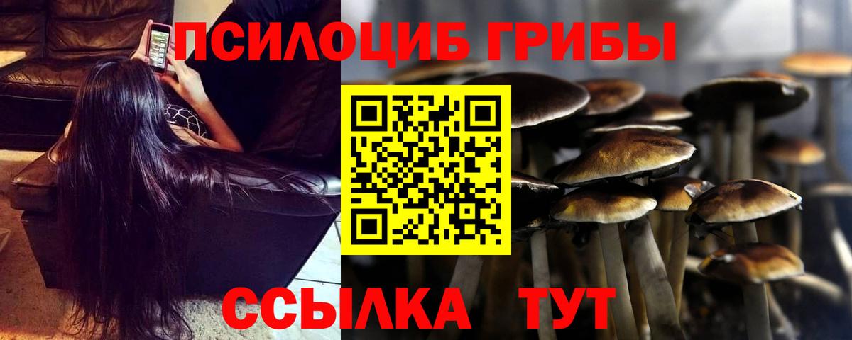 Псилоцибиновые грибы Cubensis Краснознаменск